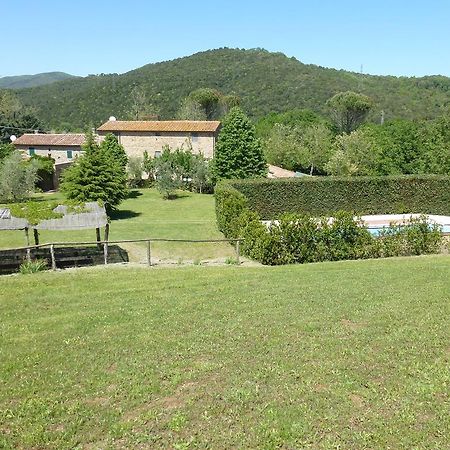 Agriturismo Le Colline Монтескудайо Номер фото